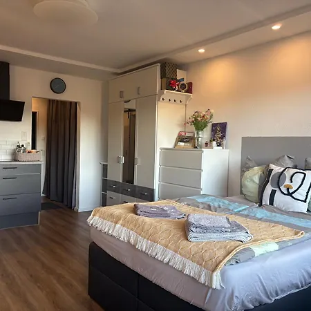 Apartman Where Business And Relaxation Meet